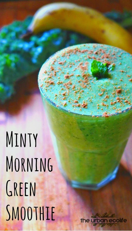 Minty Morning Green Smoothie | Easy & Healthy Vitamix Recipes | Homemade Recipes