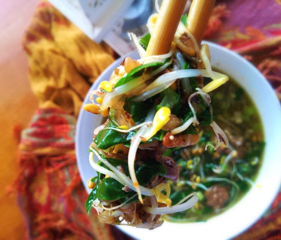 Asian Beef Soup (Paleo, GAPS & Noodle-free!) So simple and delicious - The Urban Ecolife
