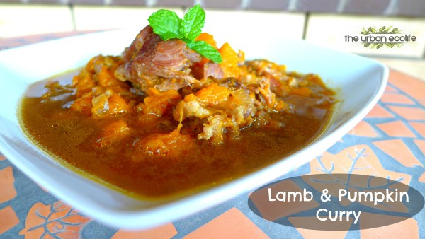 Slow Cooker Lamb and Pumpkin Curry (with Minted Yoghurt and Turmeric Cauliflower Rice) - The Urban Ecolife