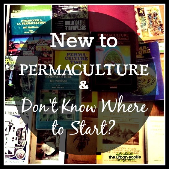 New to Permaculture and don't know where to start..... then start here! - The Urban Ecolife