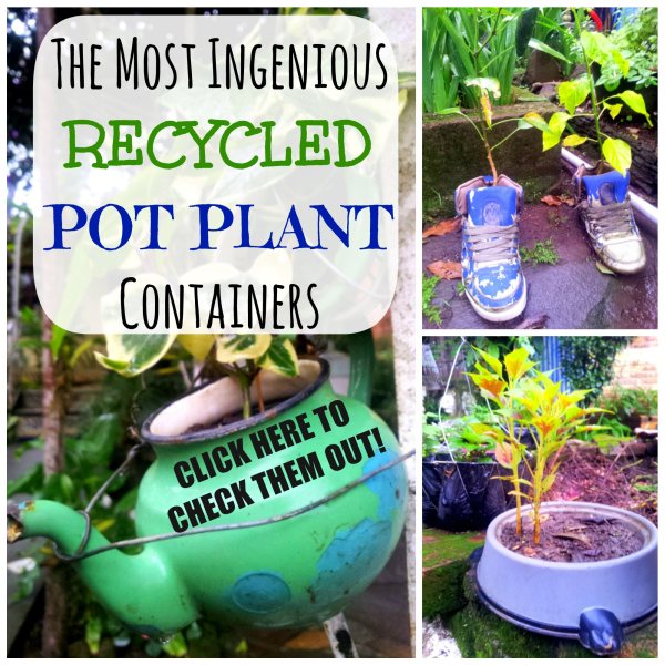 The Most Ingenious Recycled Pot Plant Containers - The Urban Ecolife