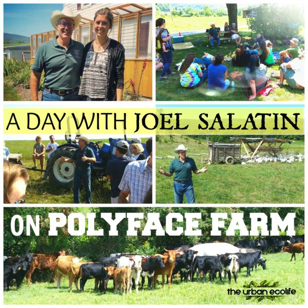 A day with Joel Salatin on Polyface Farm | The Urban Ecolife