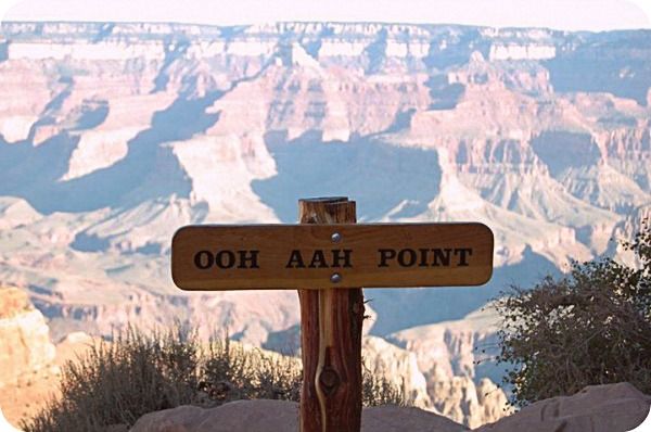 OOH AAH Point - The Urban Ecolife