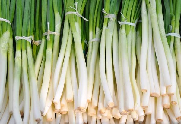 Green Onions