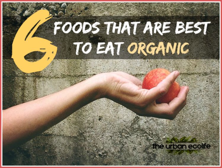  6 Foods That Are Best To Eat Organic - The Urban Ecolife