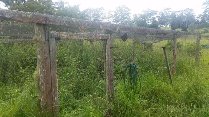Weeding the garden