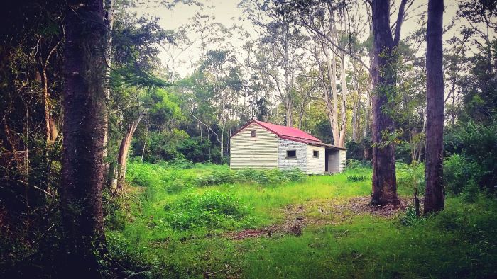 You Don't Need to Live Off-Grid To Live Sustainably - The Urban Ecolife