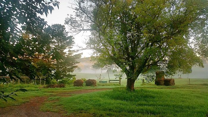 The Truth About Being A First Time Farmer - The Urban Ecolife